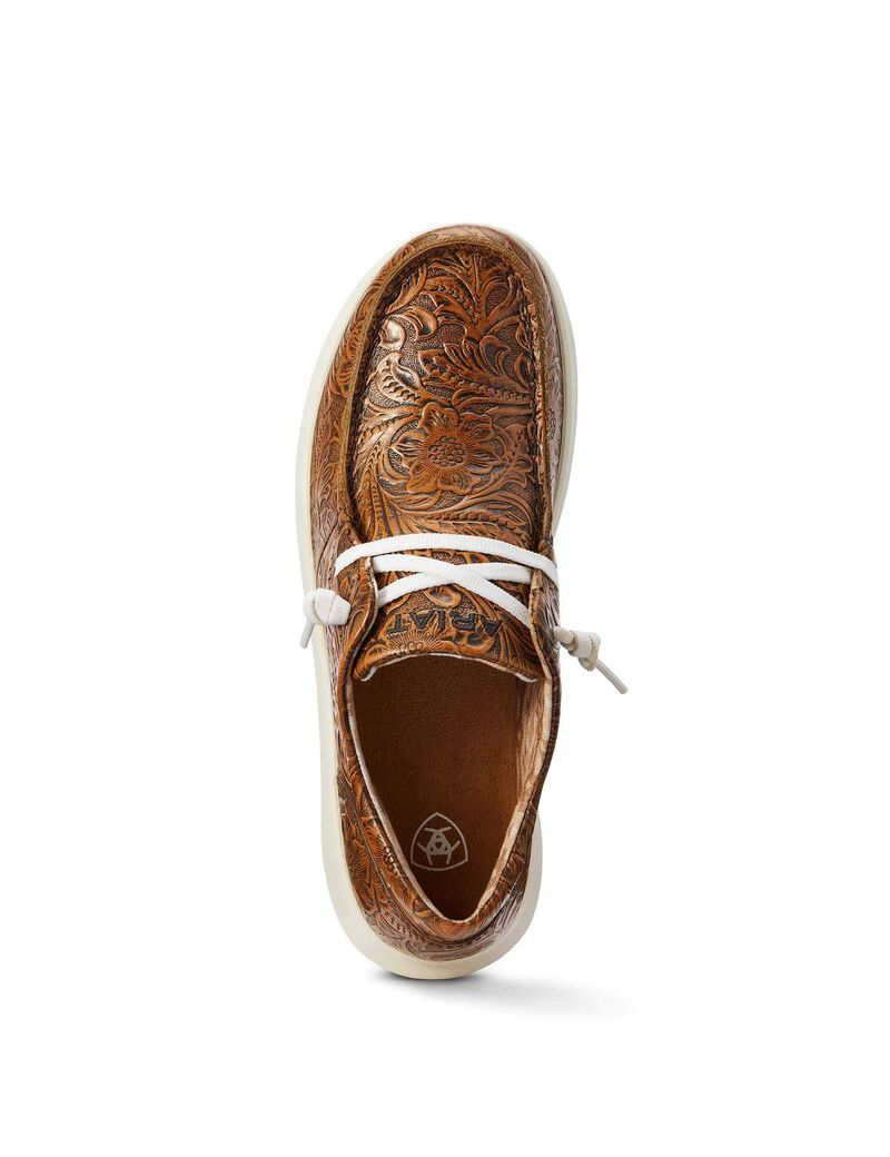 Tenis Ariat Hilo Marrom | HAX786321