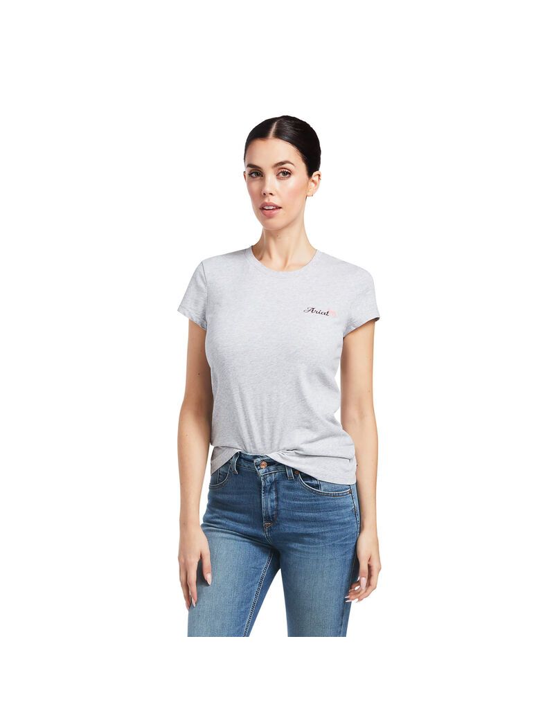 Tops Ariat Logo Script Grises | AMX641759