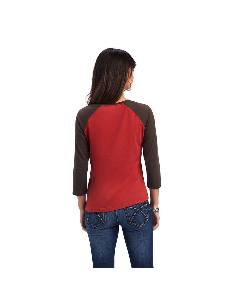 Tops Ariat REAL Arrow Classic Fit Multicolor | FNT208795