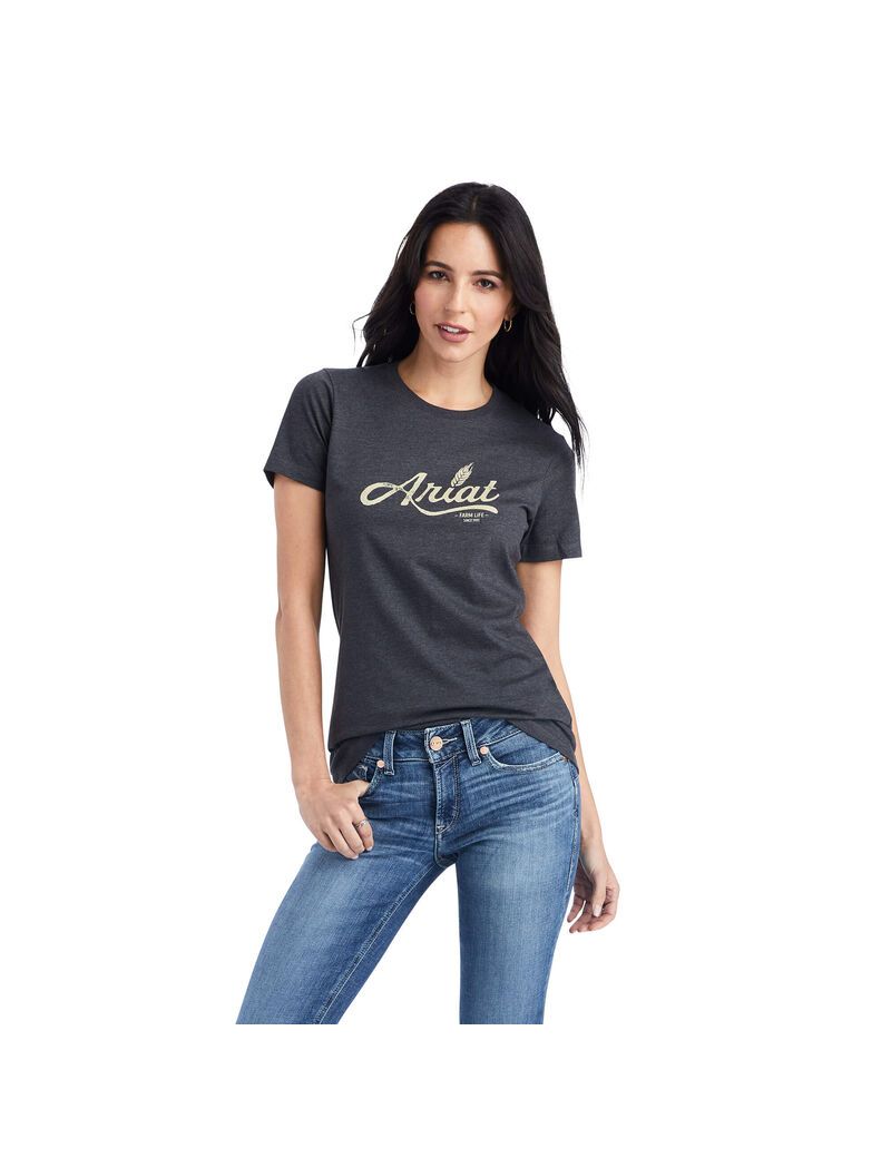 Tops Ariat Wheat Script Tee Grises | FZR487015