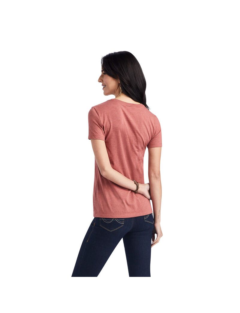 Tops Ariat Wheat Script Tee Rojos | SEQ765289