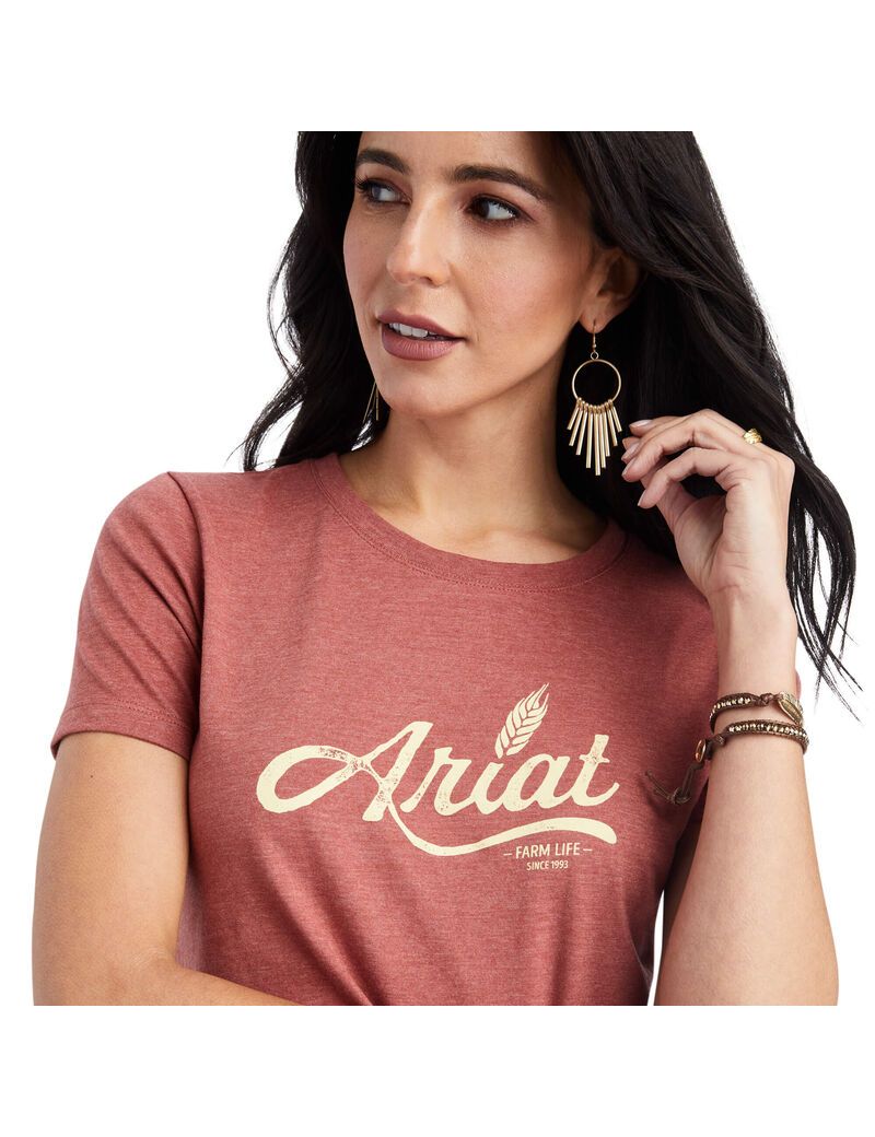 Tops Ariat Wheat Script Tee Rojos | SEQ765289