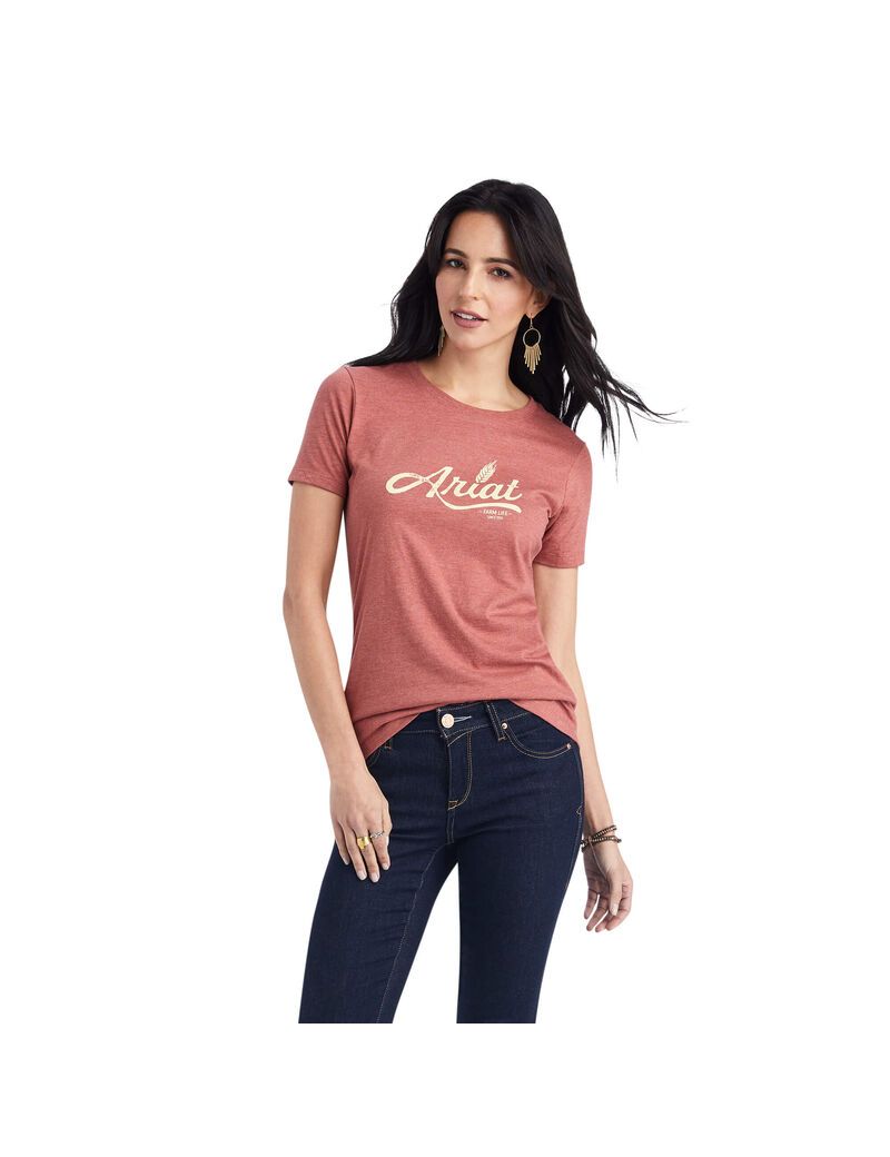 Tops Ariat Wheat Script Tee Rojos | SEQ765289