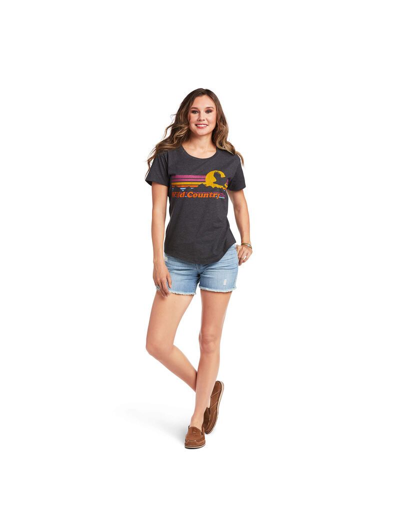 Tops Ariat Wild Country Grises | PGL537826