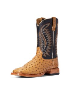 Botas Occidentales Ariat Gallup Marrom | SAQ302941