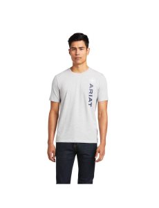 Camisas Ariat Vertical Logo Grises | LNM751460