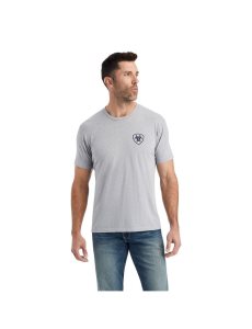 Camiseta Ariat Lucky Horseshoe Grises | NLS439157