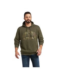 Sudadera Con Capucha Ariat Basic Sweatshirt Verde Oliva | QVN632049