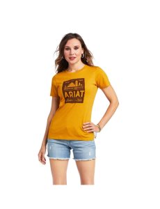 Tops Ariat Farmland Multicolor | YMR892163